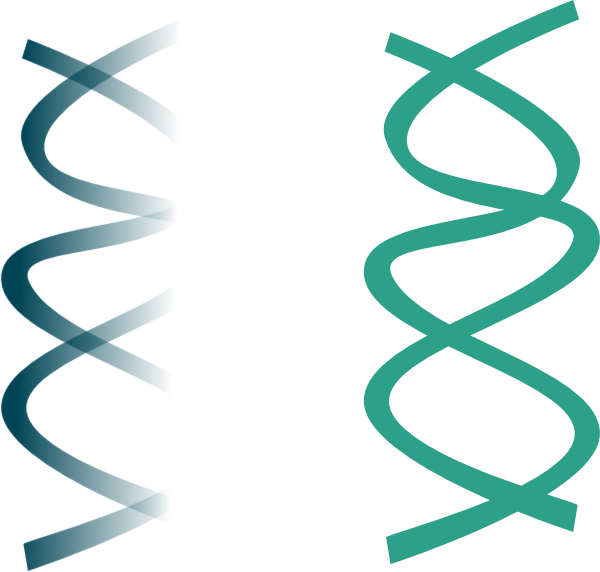 Dna Rna Png Clipart (600x572), Png Download