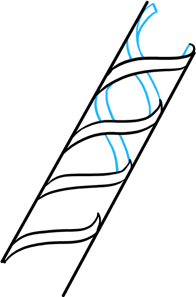 How To Draw Dna - Dna Drawing Easy Step By Step Clipart (680x678), Png Download