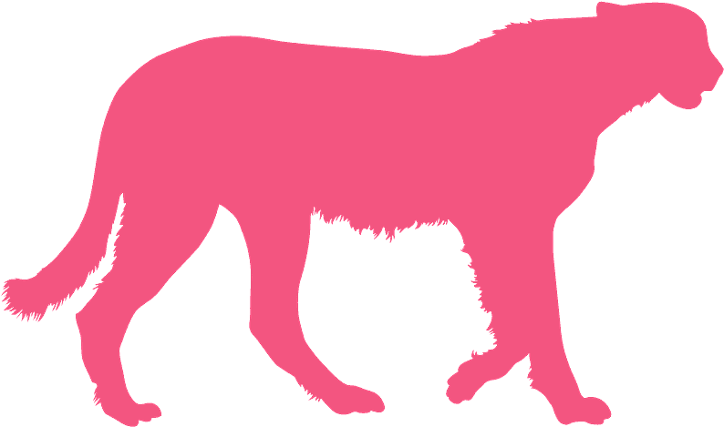 Cheetah Clipart (800x473), Png Download