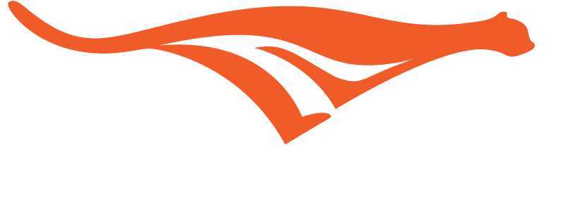 Cheetah Clipart Fast Cheetah - Png Download (900x361), Png Download