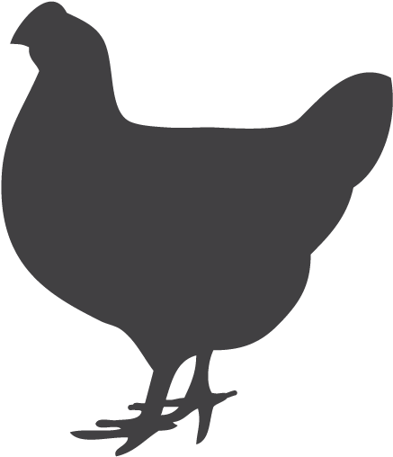 Rooster Chicken Silhouette Clip Art - Png Download (772x526), Png Download