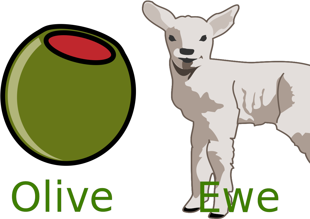 Lamb Clipart - Png Download (1600x1600), Png Download
