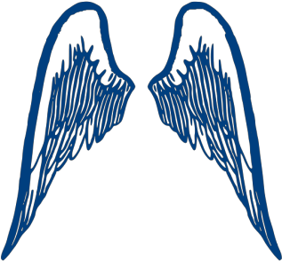 Blue Wings Png Icons - Angel Wings Png Outline Clipart (600x600), Png Download
