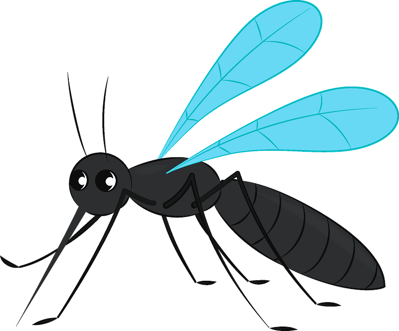 Mosquito Clipart - Png Download (800x665), Png Download