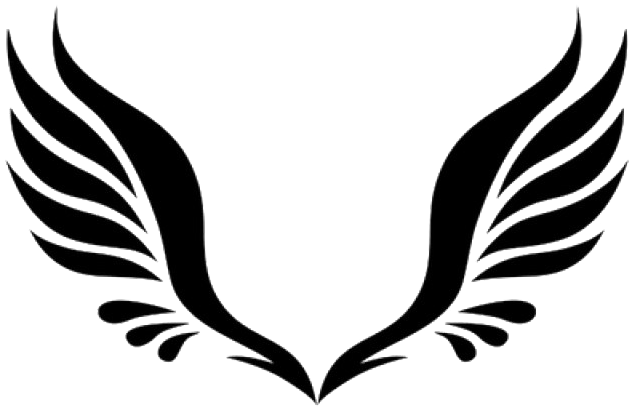 Black Wings - Clipart Wings Transparent Background - Png Download (920x486), Png Download