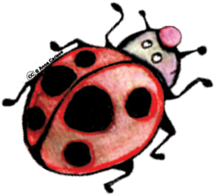 Clipart Insectes Gratuit - Ladybug - Png Download (600x600), Png Download
