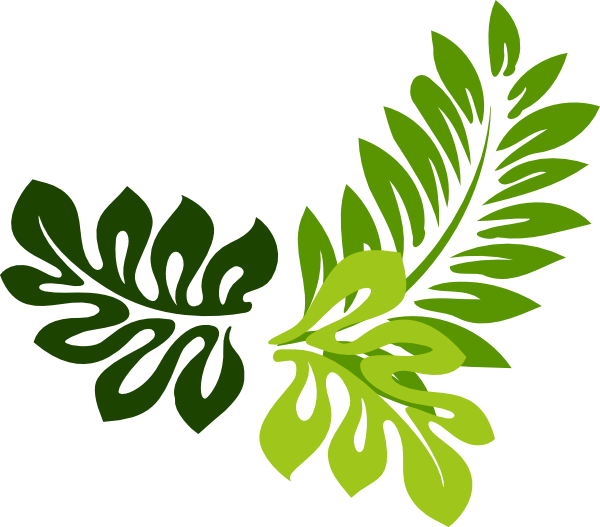 Transparent Jungle Leaves Clipart Png Download Full Size Clipart (5288897) PinClipart