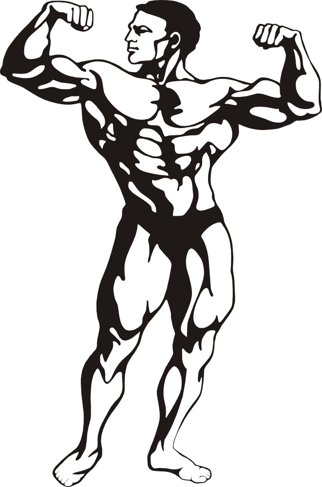 Onlinelabels Clip Art - Muscle Man Clip Art - Png Download (661x1000), Png Download