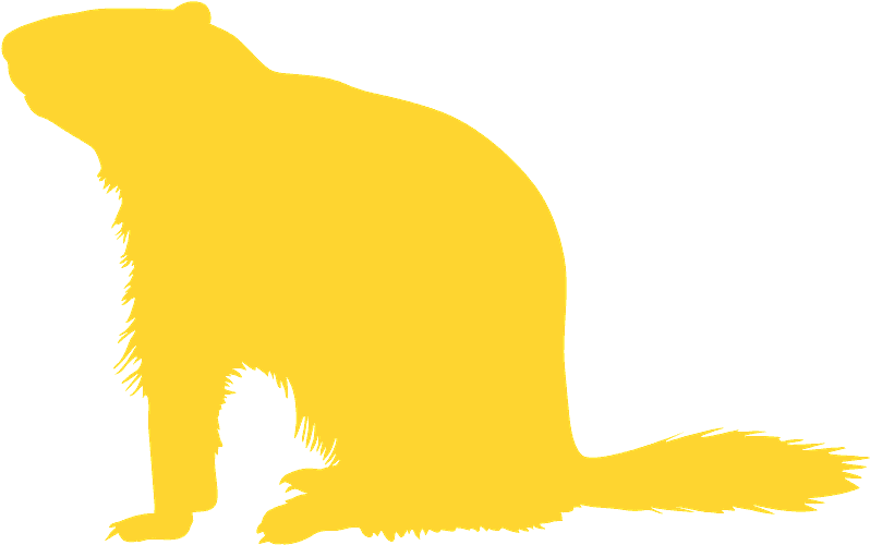 Illustration Clipart (800x506), Png Download