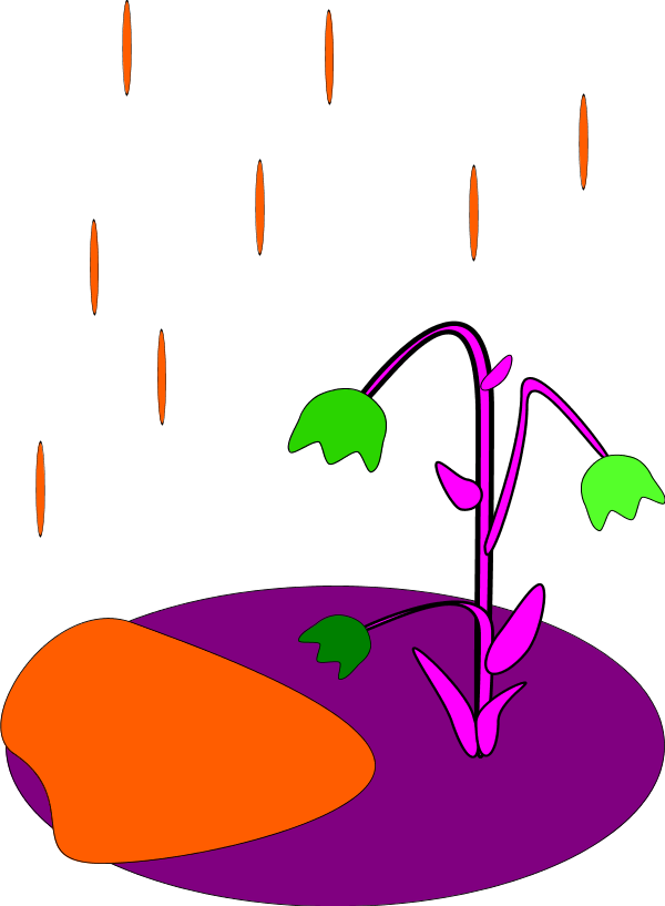 Rain Falling On Flower - Rain Formed For Kids Clipart (600x817), Png Download