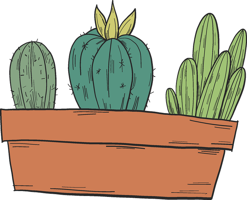 Cactuses In A Pot Clipart - Illustration - Png Download (800x649), Png Download