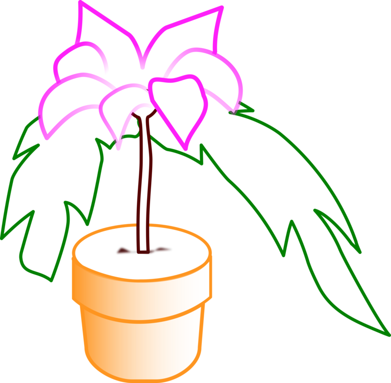 Line Art,plant,flower - Plants Clipart (766x750), Png Download