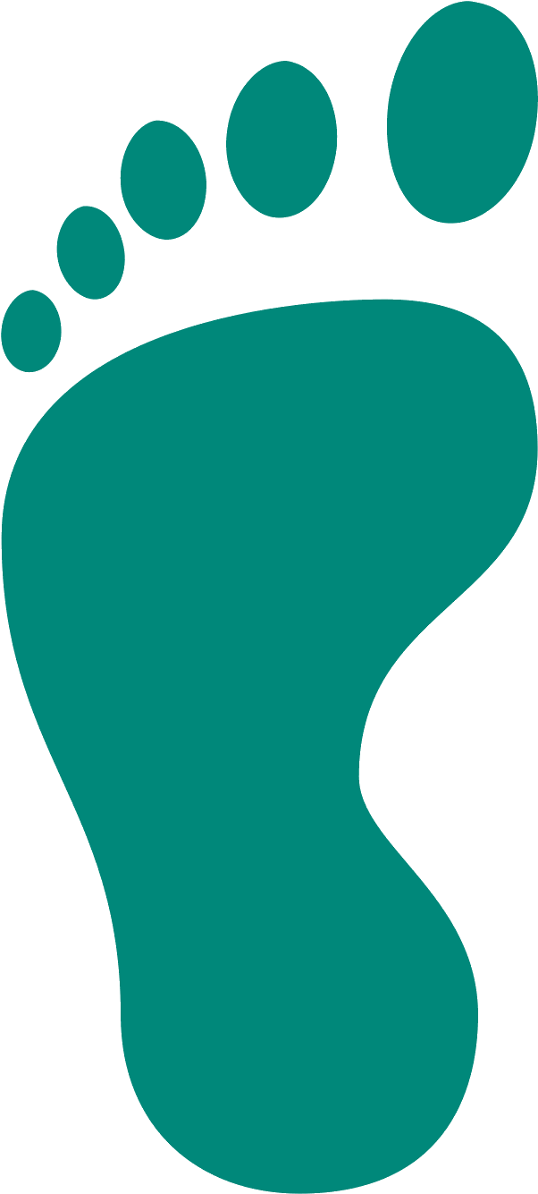 Vector Footprints Harry Potter - Clip Art - Png Download (602x1335), Png Download