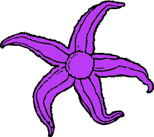 Purple Starfish Clipart - Starfish Clip Art - Png Download (600x533), Png Download