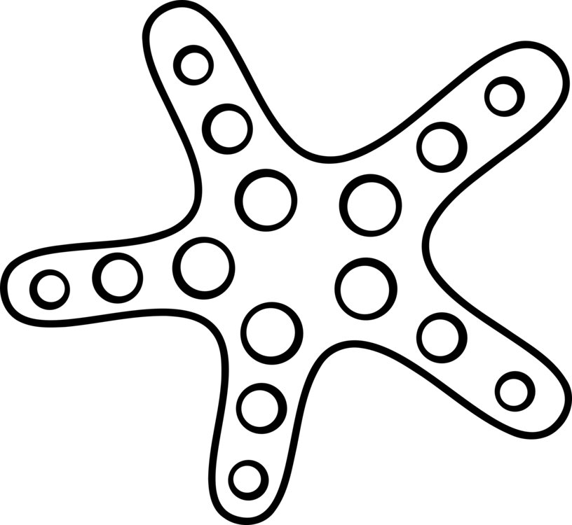 Drawing Starfish Ink - Starfish Clipart Black And White - Png Download (816x750), Png Download