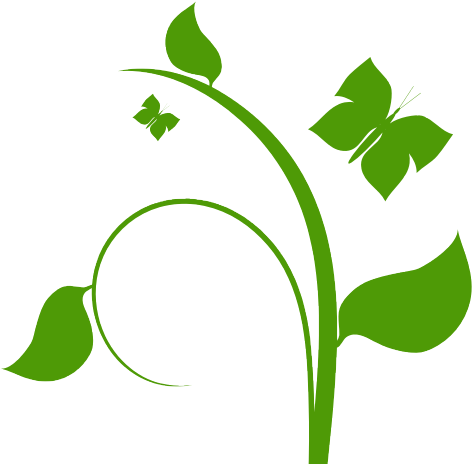 Flower Schwartz - Flower Vine Clip Art - Png Download (600x600), Png Download