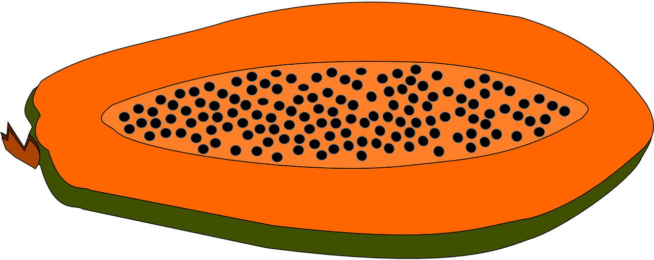 Orange Fruit Clipart Single Fruit - Kapayas Clipart - Png Download (1280x640), Png Download