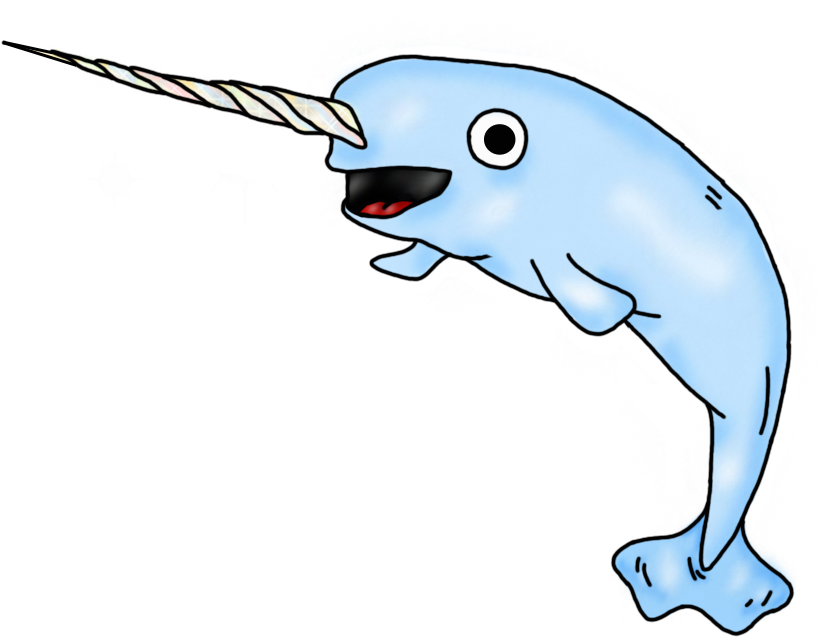 Narwhal Clipart - Png Download (900x755), Png Download