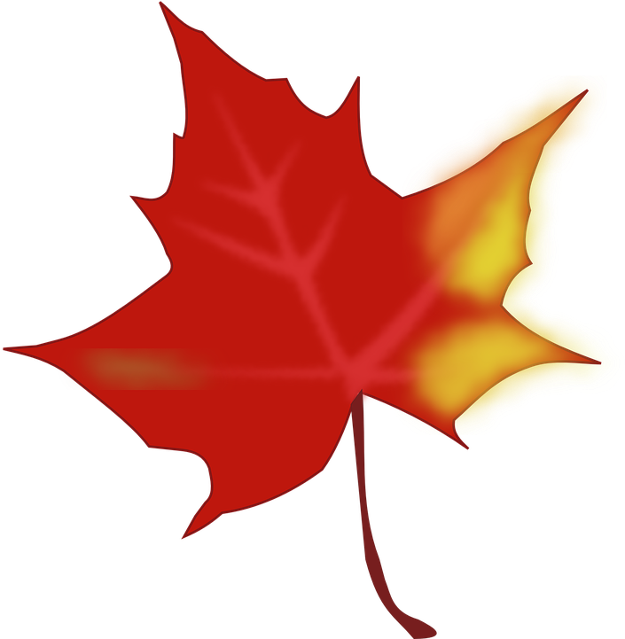 Maple Leaf Clipart Yellow Fall Leaf - Cartoon Autumn Leaf Transparent - Png Download (851x720), Png Download