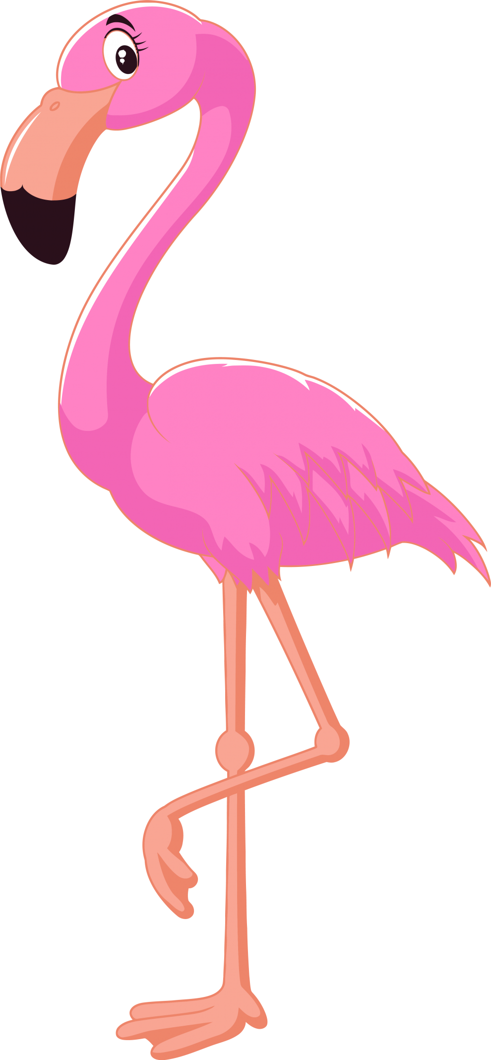 Flamingo Clipart - Png Download (768x1648), Png Download