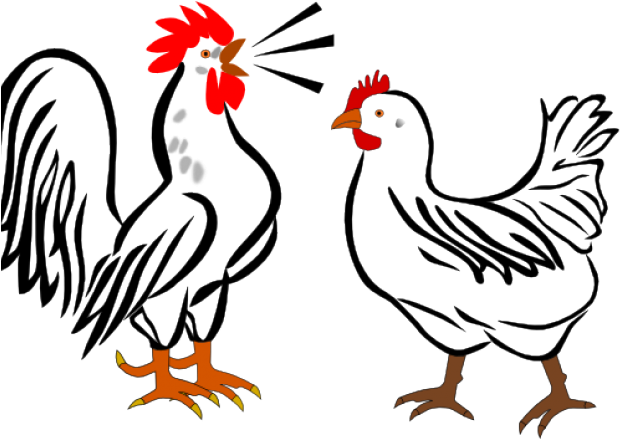 Chick Clipart Rooster - Rooster And Hen Cartoon - Png Download (640x480), Png Download