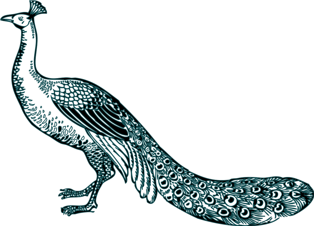 Black And Teal Peacock Svg Clip Arts - Peacock Clip Art - Png Download (1024x1024), Png Download