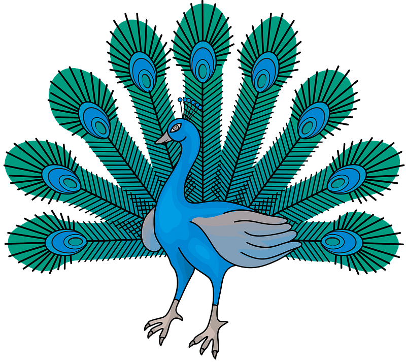Heraldic Peacock Clipart - Pavão Clipart - Png Download (800x713), Png Download