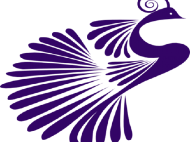 Peacock Clipart Purple - Peacock Clipart Png Black And White Transparent Png (640x480), Png Download