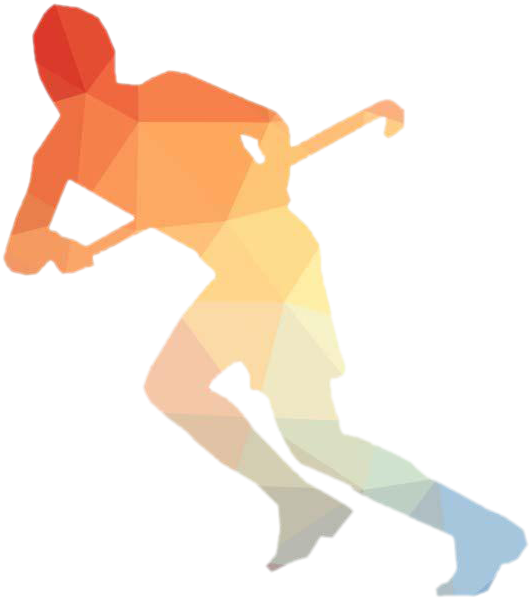 Cricket Silhouette Clip Art - Playing Field Hockey Png Transparent Png (660x660), Png Download