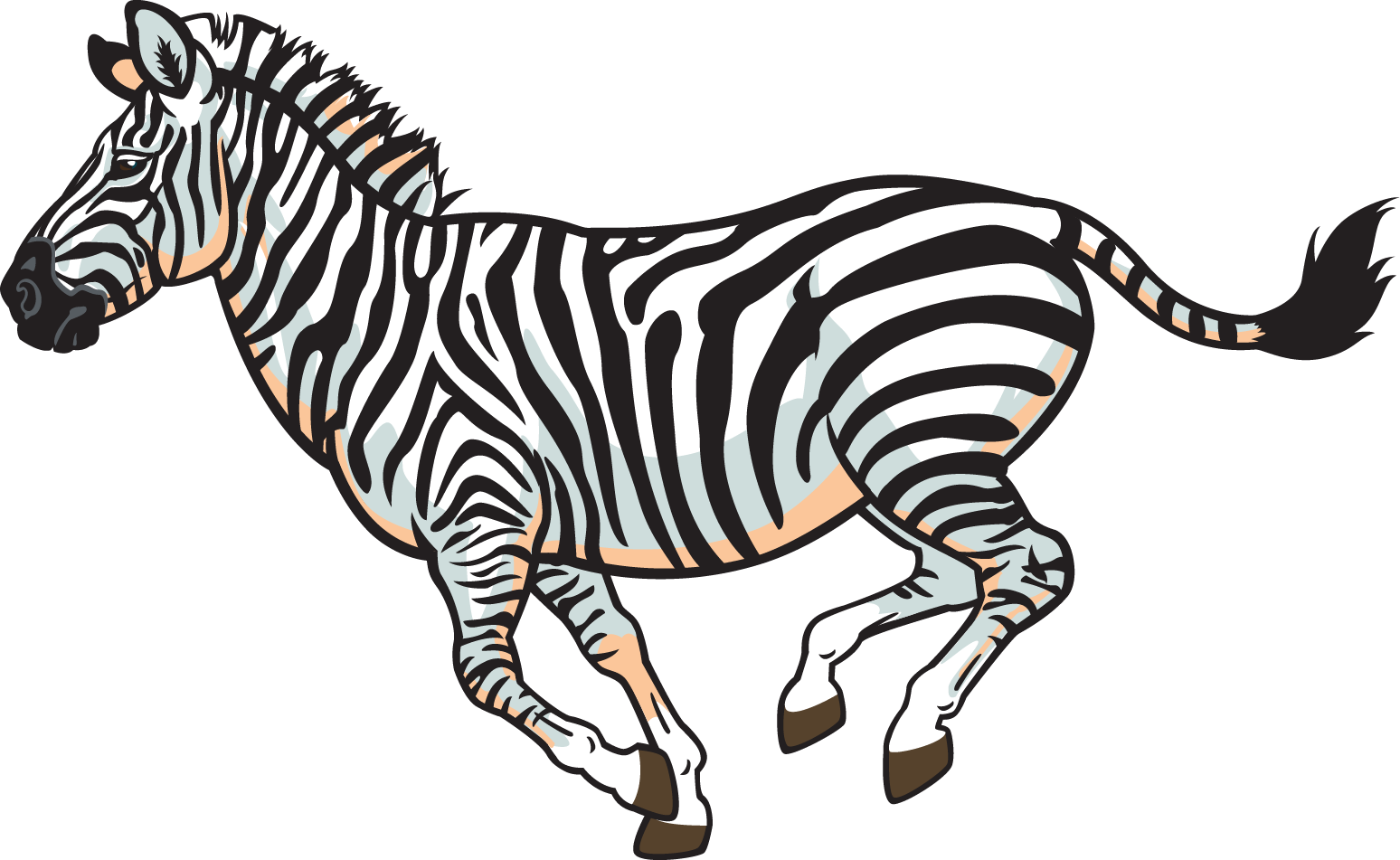 Zebra 2d