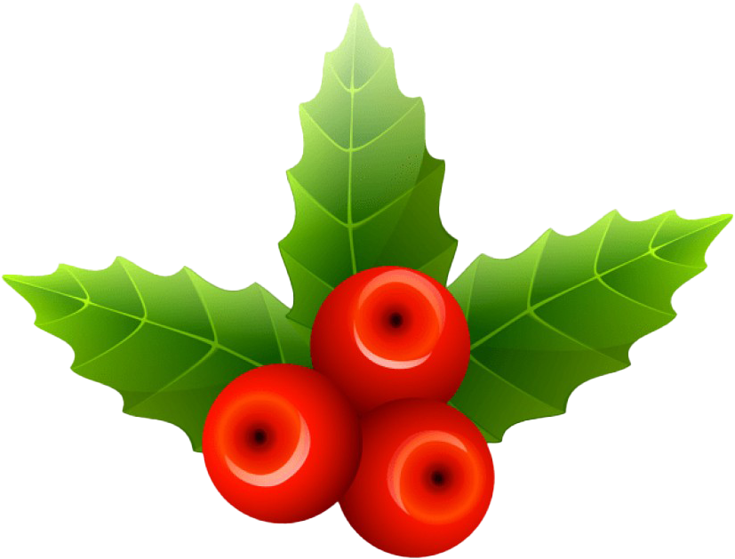 Christmas Mistletoe Png Transparent Image - Mistletoe Png Clipart (840x859), Png Download