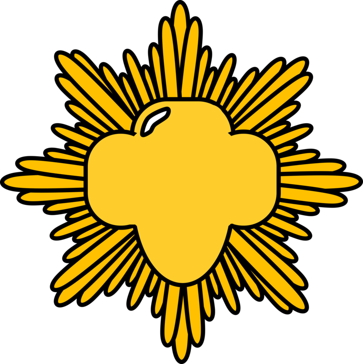 Sunflower Seed,plant,flower - Girl Scout Gold Award Icon Clipart (747x750), Png Download