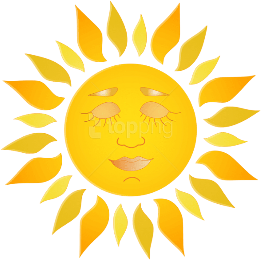 Transparent Sun Art Png - Mollusk Surf Shop Logo Clipart (833x831), Png Download