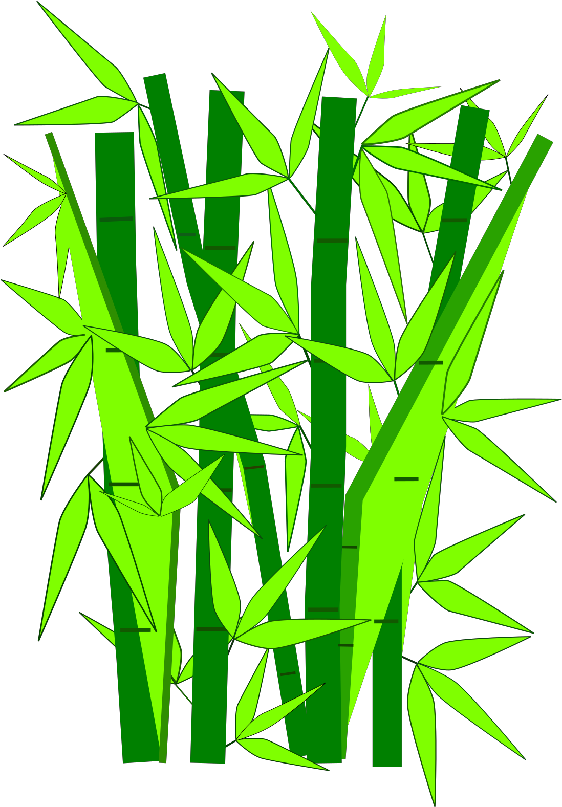 Cartoon Bamboo Png Clipart (1600x1600), Png Download