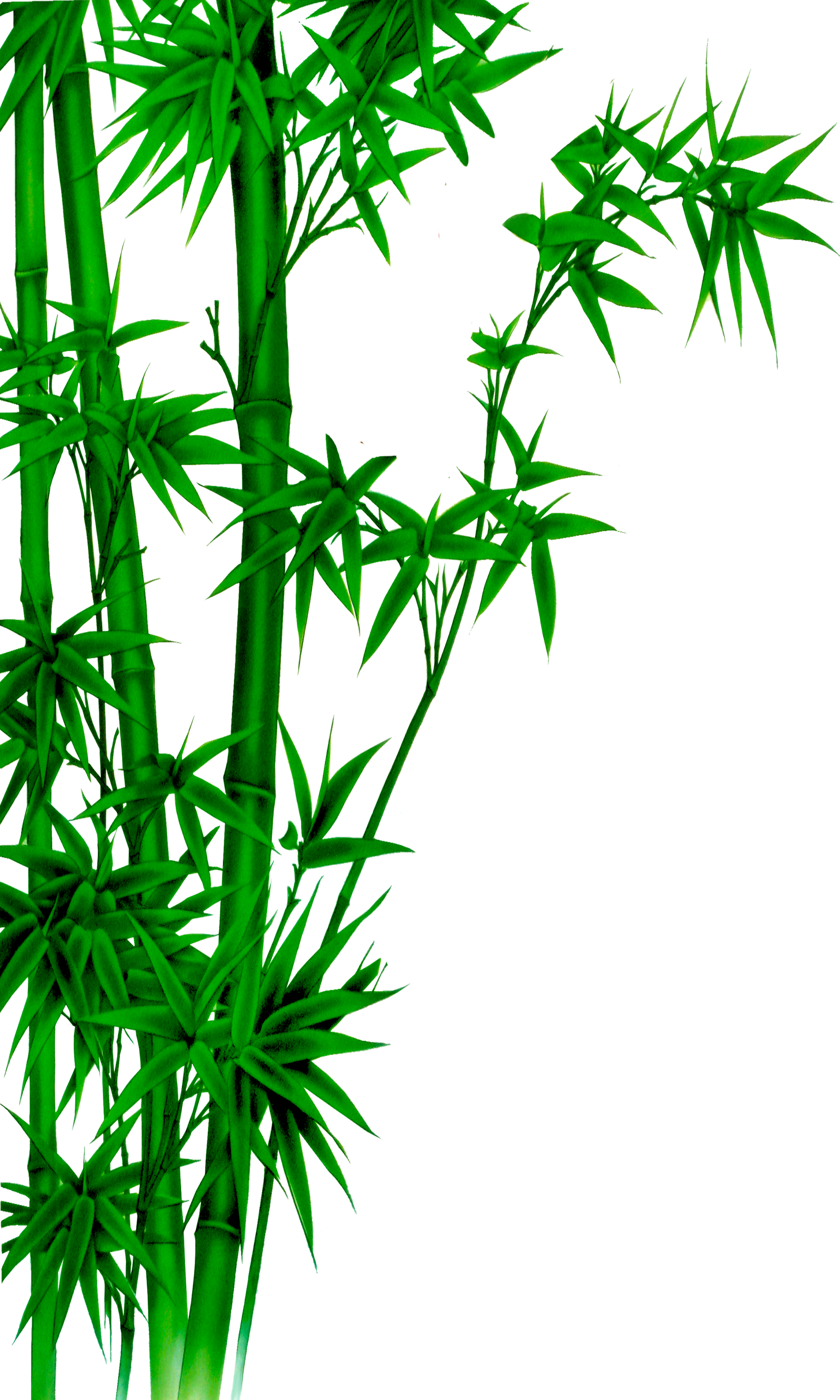 Poster Bamboo Wash Painting Ink Free Hq Image Clipart - Poster Bambu - Png Download (3402x5669), Png Download