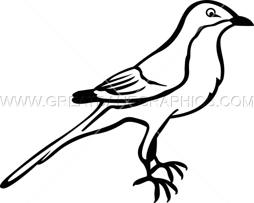 Mockingbird Clipart Texas Mockingbird - Mockingbird Easy To Draw - Png Download (825x658), Png Download