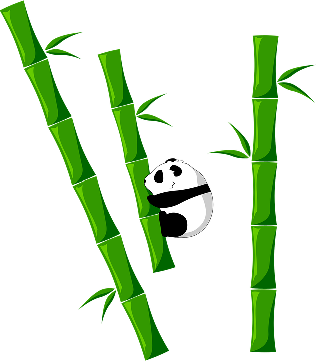 Bamboo Png - Clipart Bamboo With Panda Transparent Png (632x720), Png Download