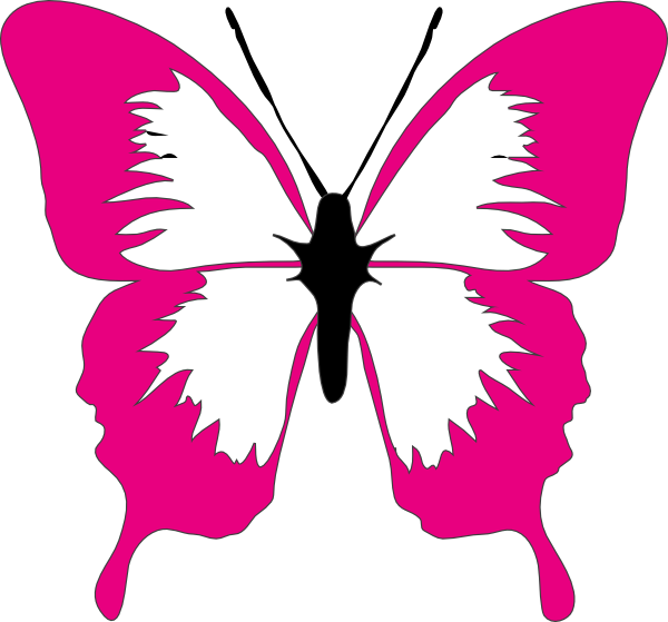 Butterfly Clipart - Colorful Butterflies Clip Art - Png Download (600x559), Png Download