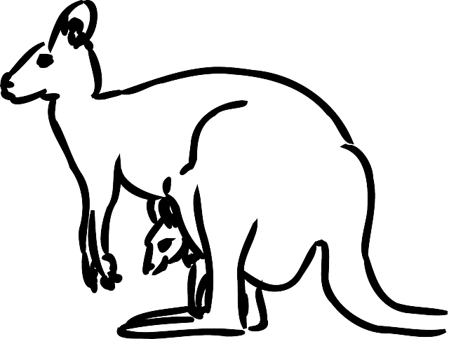Kangaroo Clipart Simple - Kk Is For Kangaroo - Png Download (640x484), Png Download