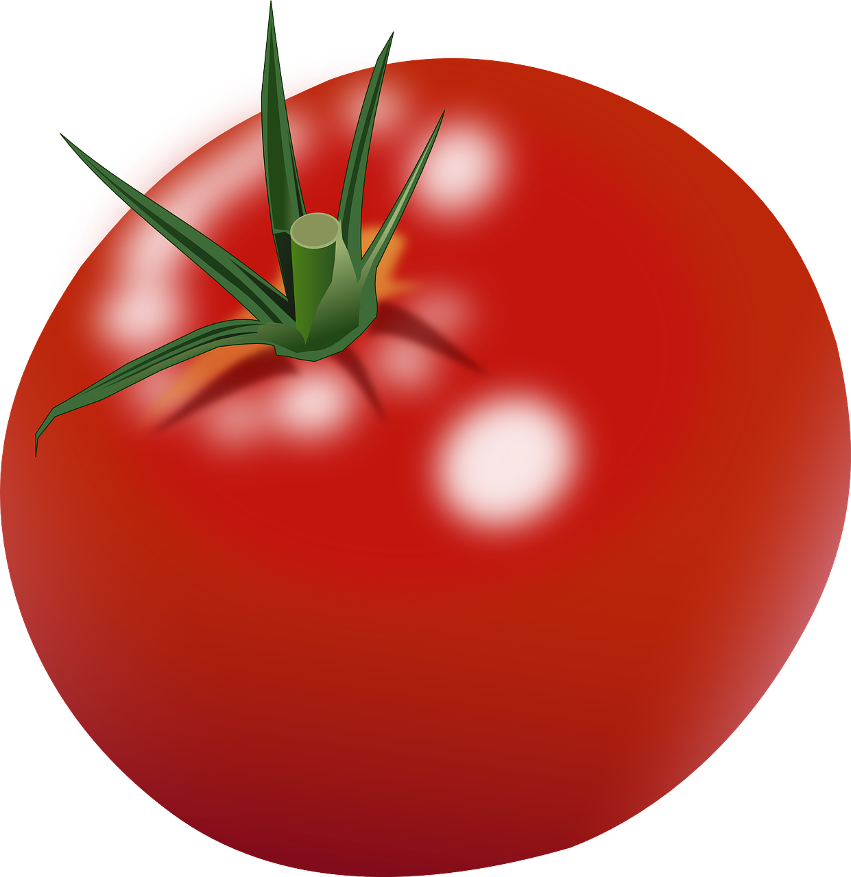 Tomato Clipart Png Black And White Download - Tomato Clip Art Png Transparent Png (1024x1024), Png Download