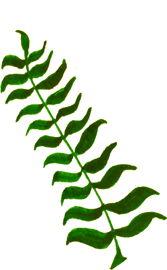 Onlinelabels Clip Art - Leaves And Twigs Png Transparent Png (1000x1000), Png Download