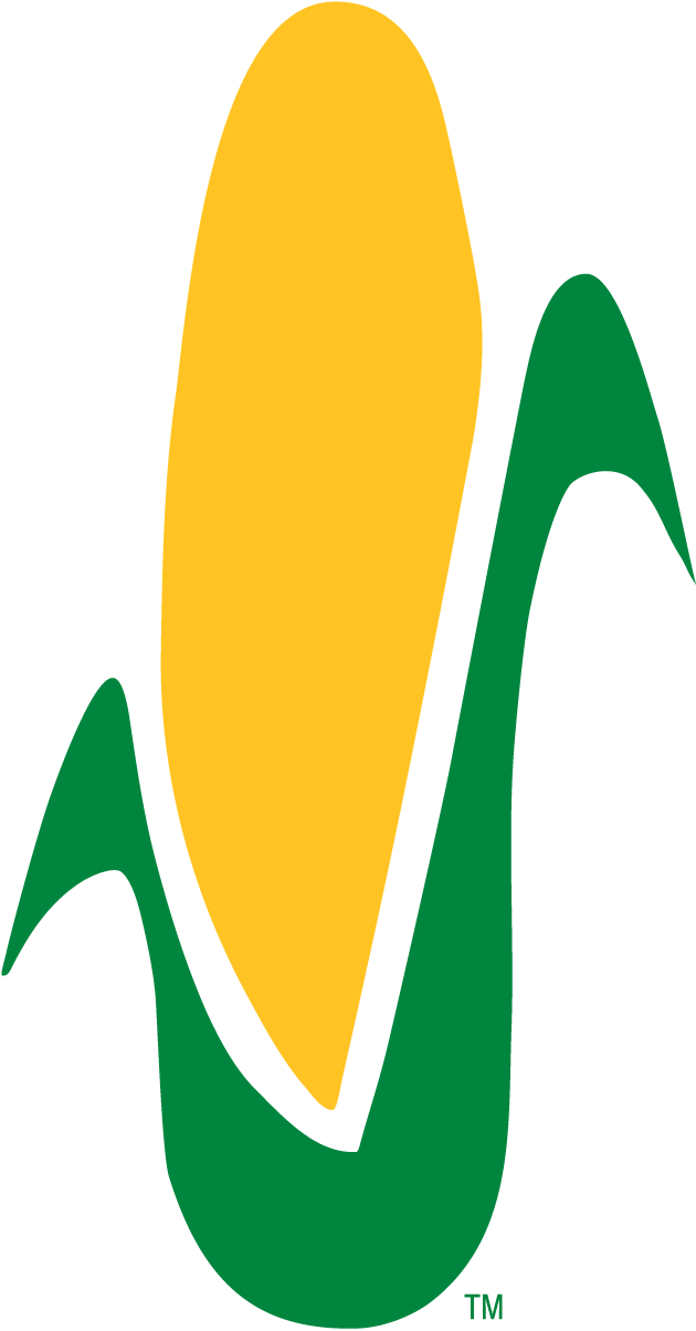 Corn Stalk Coloring Page - Color Clipart (630x1204), Png Download