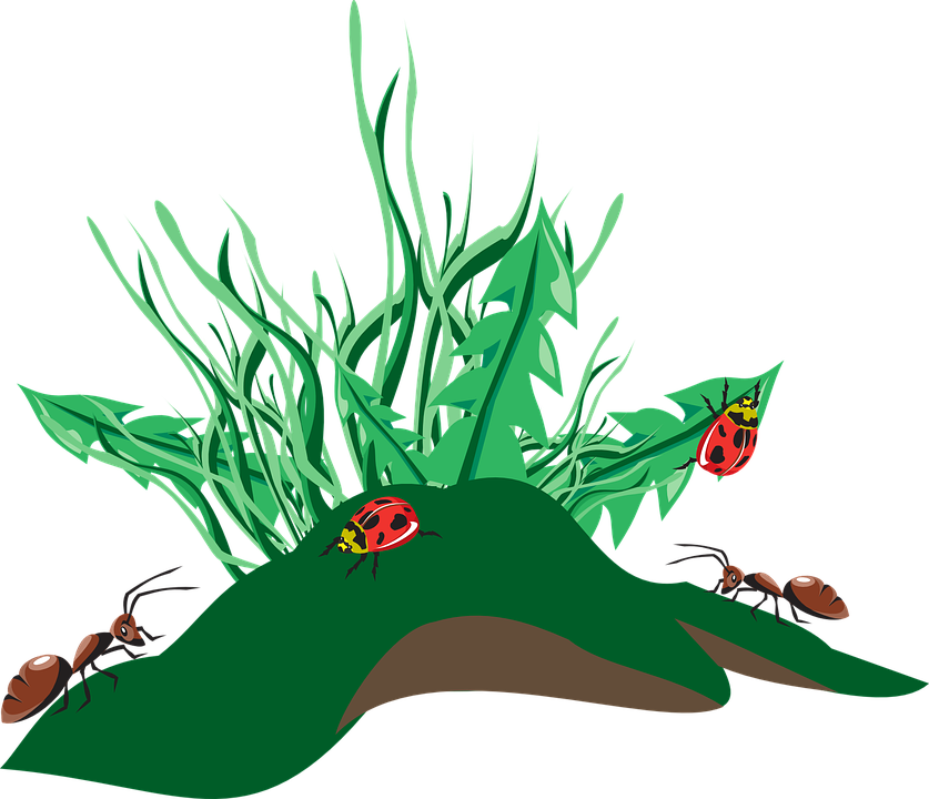 Free Grass Cliparts - Ants Clip Art - Png Download (837x720), Png Download