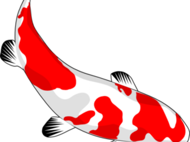 Koi Fish Clipart Devil - Japanese Koi Fish Clipart - Png Download (640x480), Png Download