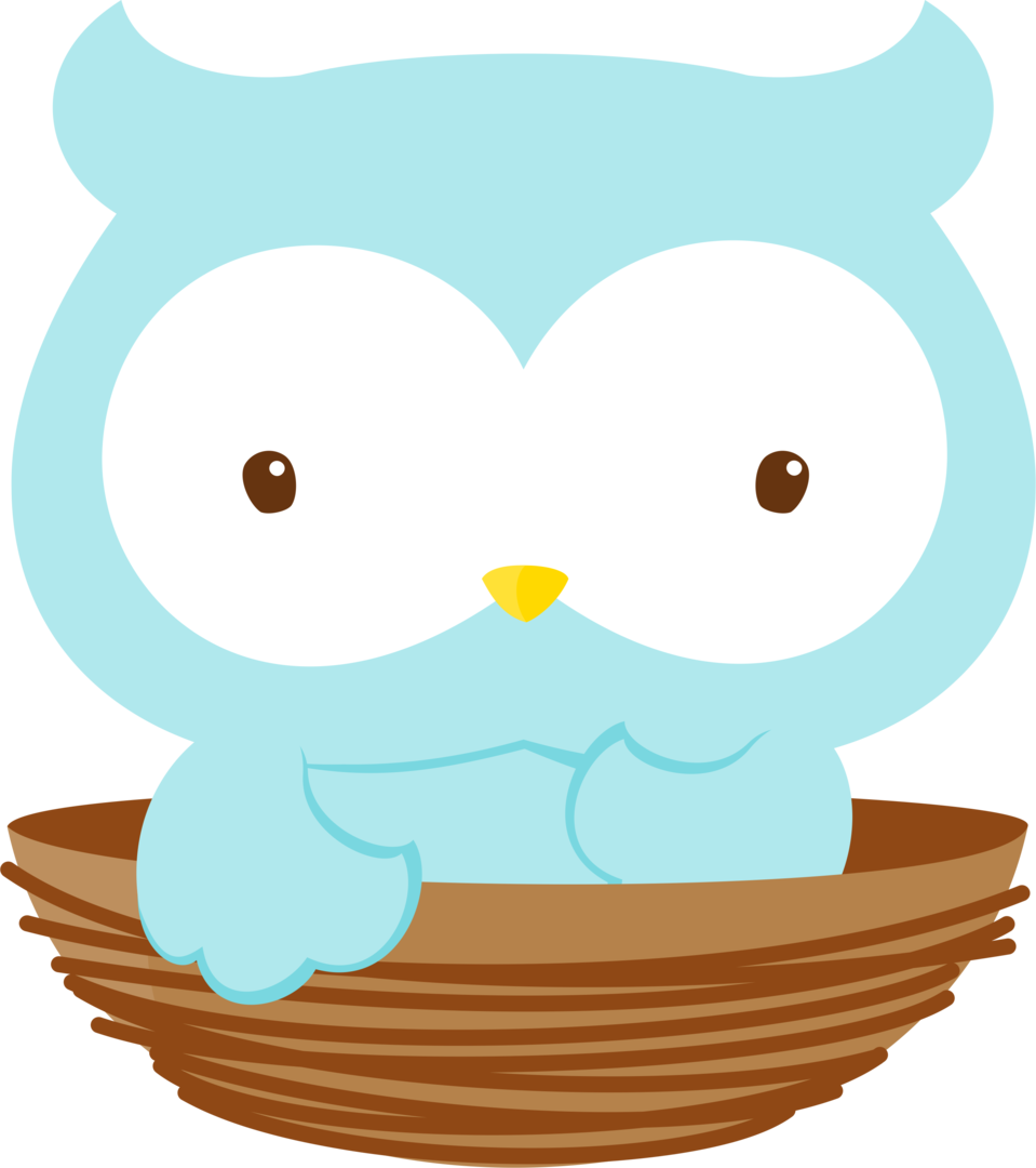 Owl Png, Exibir, Baby Animals, Cubbies, Clip Art, Pasta, Transparent Png (959x1080), Png Download