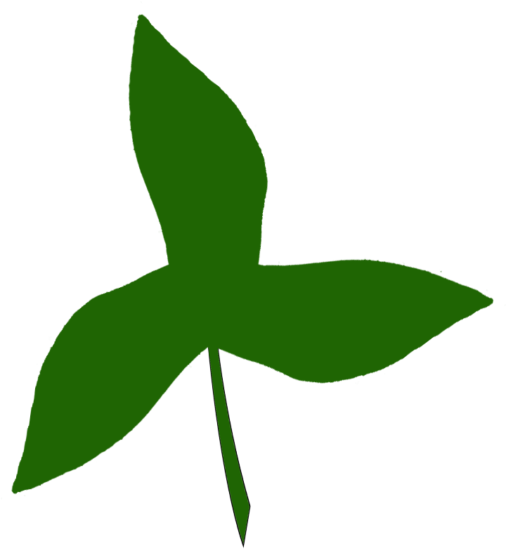 Yoda Ear Shamrock Cookie Stencil St Clipart (799x822), Png Download