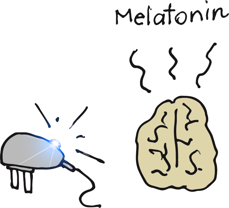 As Long As Your Computer, Phone, Or Whatever Else That Clipart (803x729), Png Download