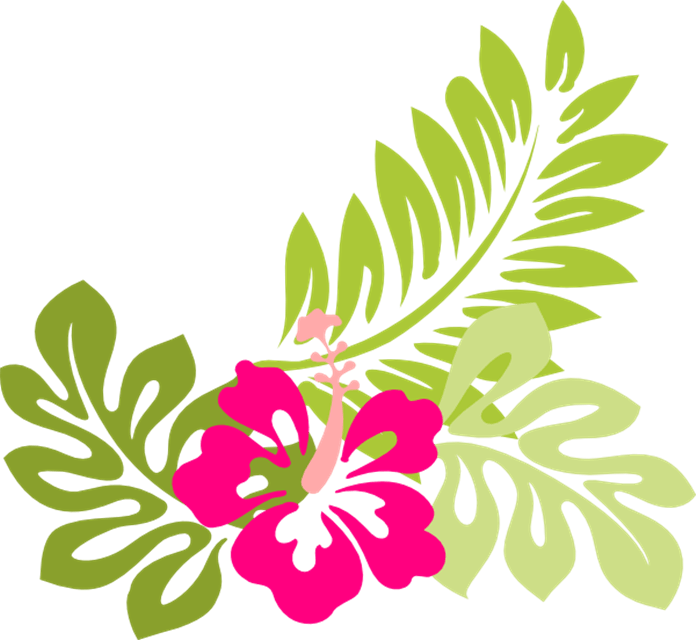 Tropical Flower Clip Art Flowers Clip Art Hawaiian - Hibiscus Clip Art - Png Download (696x640), Png Download