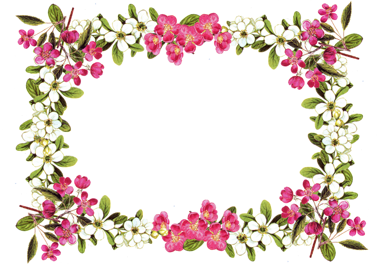 Flower Rose Clip Art - Rose Flower Border Clipart - Png Download (1600x1143), Png Download