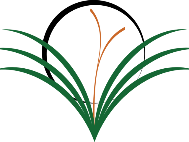 Weed Grass Cliparts - Clip Art - Png Download (640x480), Png Download